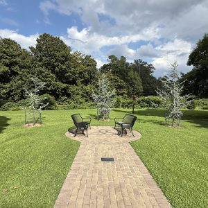 two benches outside in grassy area