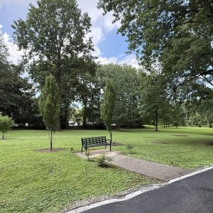 bench by sidewalk