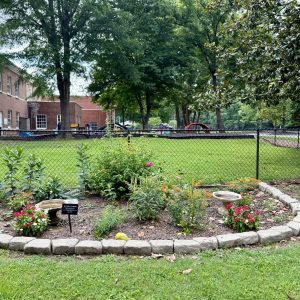 garden